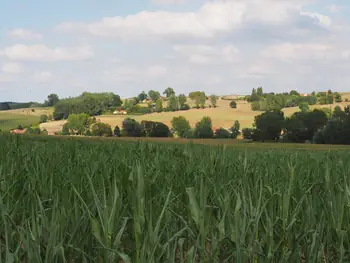 Kwaremont (Belgium)